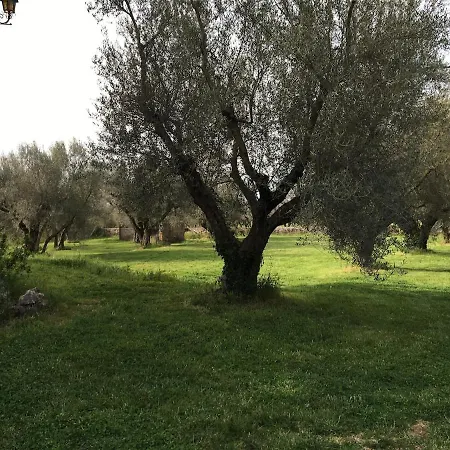I Merli Villa Rom